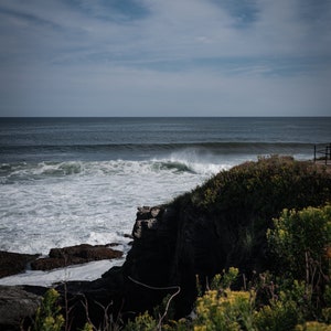 Die Klippenwanderungen bei Newport Rhode Island
