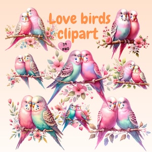 Amour oiseaux clipart PNG, valentine clipart aquarelle PNG, couple graphique PNG, amour romantique clipart, sublimation design png, clipart mariage