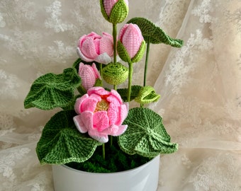 Lotus arrangement in Ceramic Pot, potted Lotus for Mother’s Day,home decor,wedding decor,office decor and personalized gift for friends