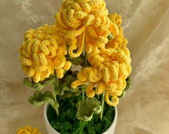 Chrysanthemums arrangement in Ceramic Pot, indoor potted Chrysanthemums to upgrade home decor,Bouquet flower in the Pot, desk decoration