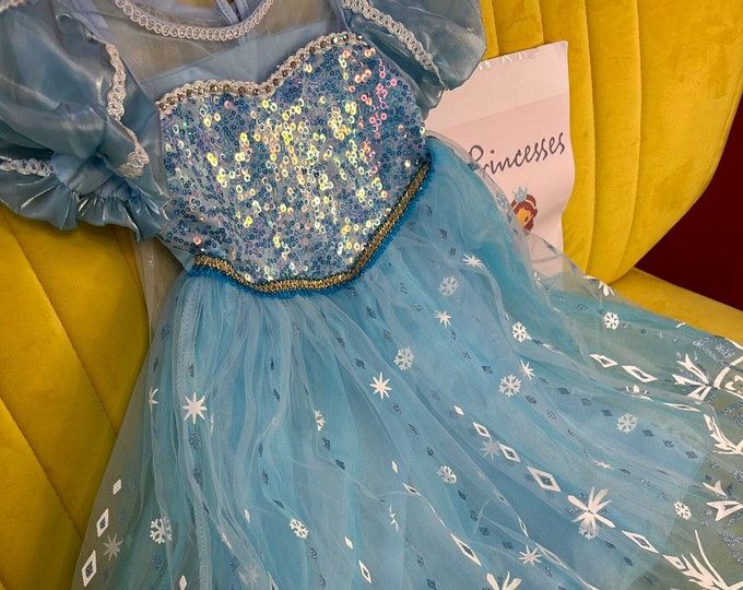 Mädchen Prinzessin Elsa Kostüm Kleid für Elsa Cosplay, Mädchen Elsa Geburtstagsparty und Elsa Mädchen Kostüm, Prinzessin Blumen Elsa Kleid