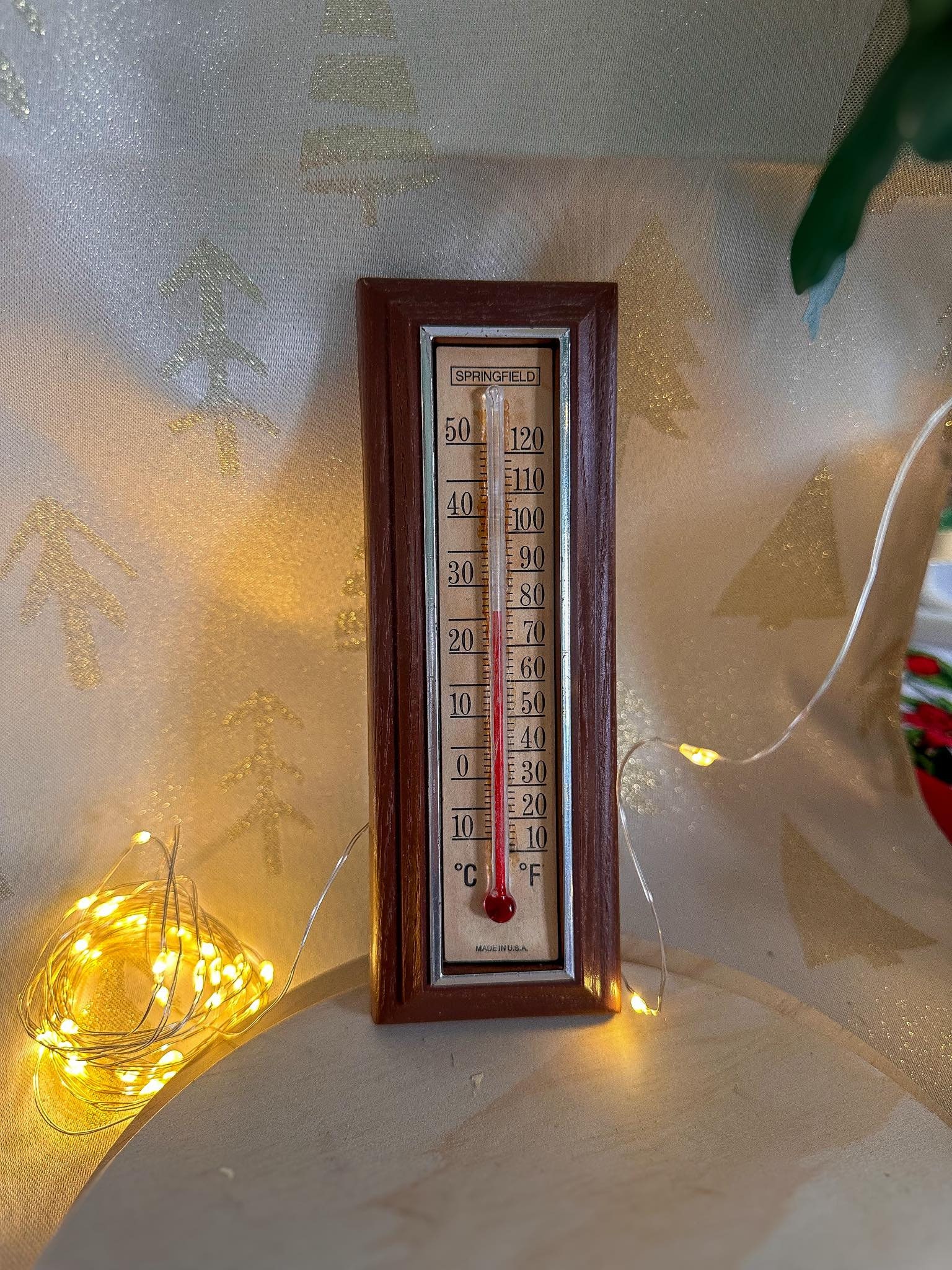 Indoor/Outdoor Thermometer/Hygrometer, 9-In. - Murfreesboro, TN