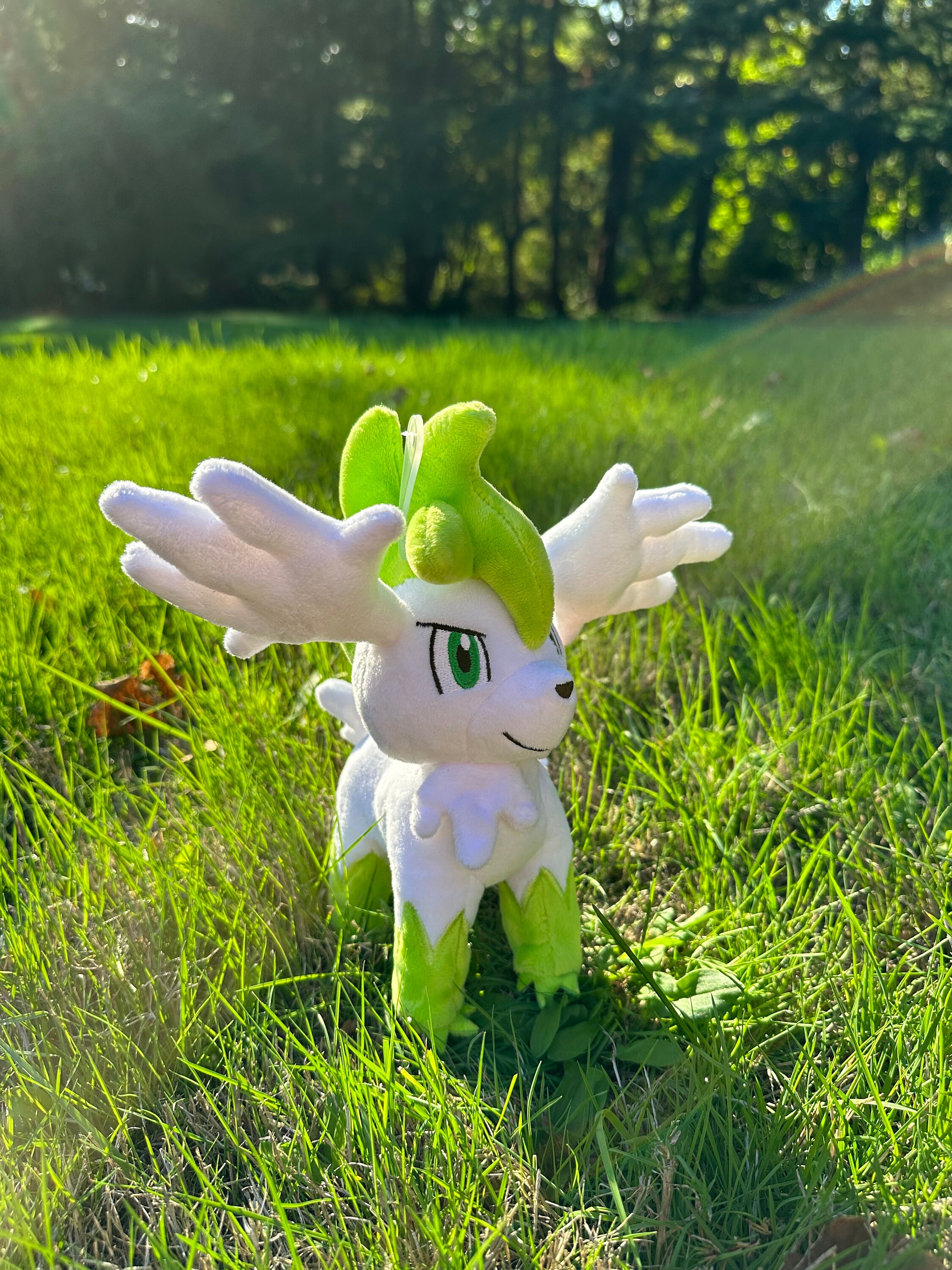 Shiny 6IV Shaymin in Land and Sky forms Legendary Pokemon for