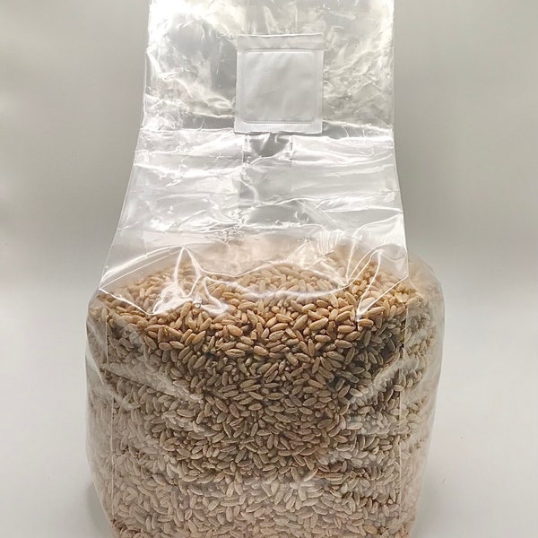 Sterilized Rye Grain Bag - 3lb