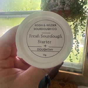 Fresh Sourdough Starter
