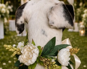 May include: A dog wearing a floral collar with white peonies, green leaves, and yellow accents. The dog has a white coat with black spots and ears. A cream-colored ribbon is tied around the collar. The background is a blurred outdoor setting.