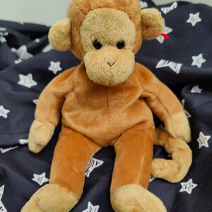 Ty Beanie Babies..