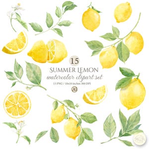 Akvarell citron Clipart Set, Sommarcitrus PNG (Digital Nedladdning), Huvudsqueeze Möhippa DIY