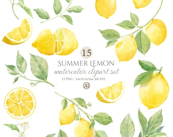 Watercolor lemon Clipart Set, Summer Citrus PNG (Digital Download), Main Squeeze Bridal Shower DIY