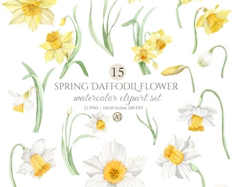 Watercolor Daffodils Clipart, March Birth Flower Art, Easter Floral Elements, Commercial Use