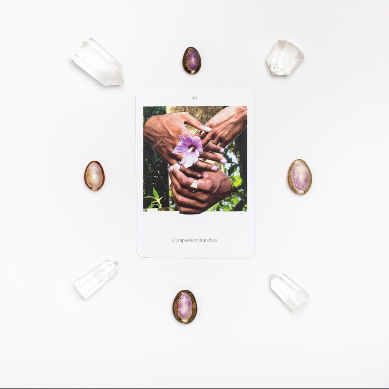 May include: A white card with the text "Compassion branches" and an image of hands holding a purple flower. The card is surrounded by clear quartz crystals and oval-shaped stones with purple centers, all on a white background.