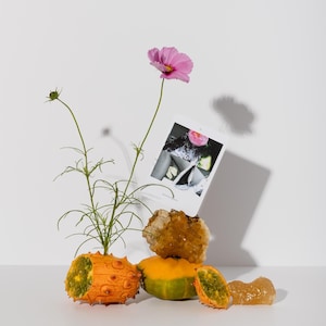 May include: A still life arrangement featuring a pink cosmos flower, a small photograph, and various fruits and crystals. The fruits include a horned melon and a mango. The photograph is black and white. The crystals are amber-colored.