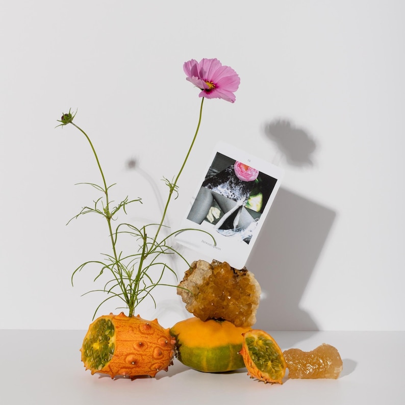 May include: A still life arrangement featuring a pink cosmos flower, a small photograph, and various fruits and crystals. The fruits include a horned melon and a mango. The photograph is black and white. The crystals are amber-colored.