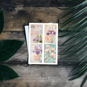 Collage Spring Garden Journal
Pastel Spring Garden Journal
Green and Floral Spring Journal
Natural Spring Garden Journal
Seed Catalog Journal
Plant Tag Journal
Botanical Print Journal