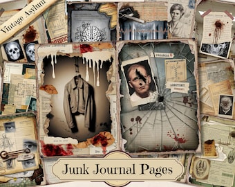 May include: A collage of vintage asylum-themed junk journal pages. The pages feature images of skulls, a jacket, a broken window, and medical diagrams. The text includes "Vintage Asylum," "Emergency," and "Junk Journal Pages."