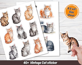 Cute & Funny Cats Clipart Bundle - 40 High-Resolution PNG and SVG Kawaii Cat Illustrations, Commercial Use, Instant Download for Cricut