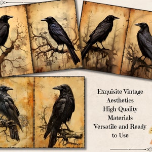 grunge journal
steampunk journal
witchy junk journal
pagan junk journal
halloween junk journal
spooky junk journal
raven collage
crow collage
bird collage
vintage ephemera
antique paper
handwritten letters
lace
feathers