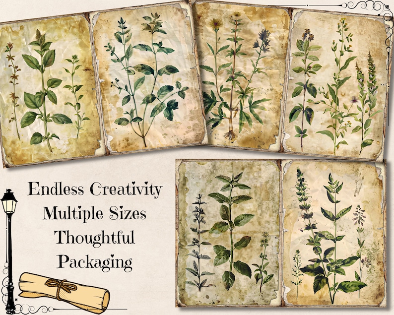Herbal Junk Journal Pages, Herb Botanical Aged Printable Ephemera ...