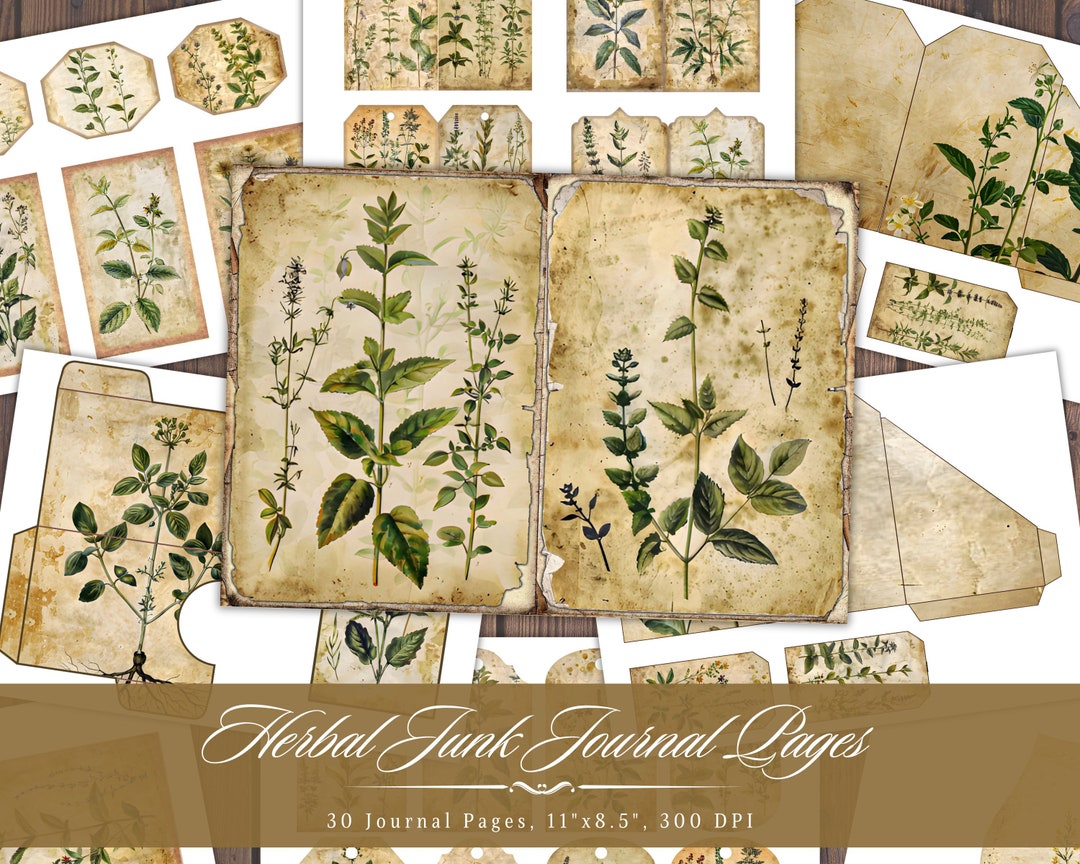 Herbal Junk Journal Pages, Herb Botanical Aged Printable Ephemera ...