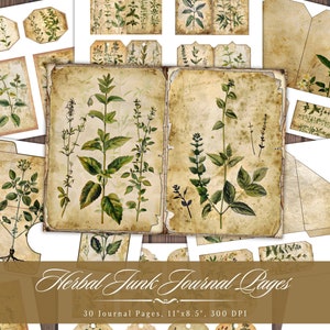 Páginas de diario basura de hierbas, efímeras imprimibles antiguas de hierbas botánicas, collage de álbum de recortes de boticario de plantas vintage, tarjetas ATC con fondo digital