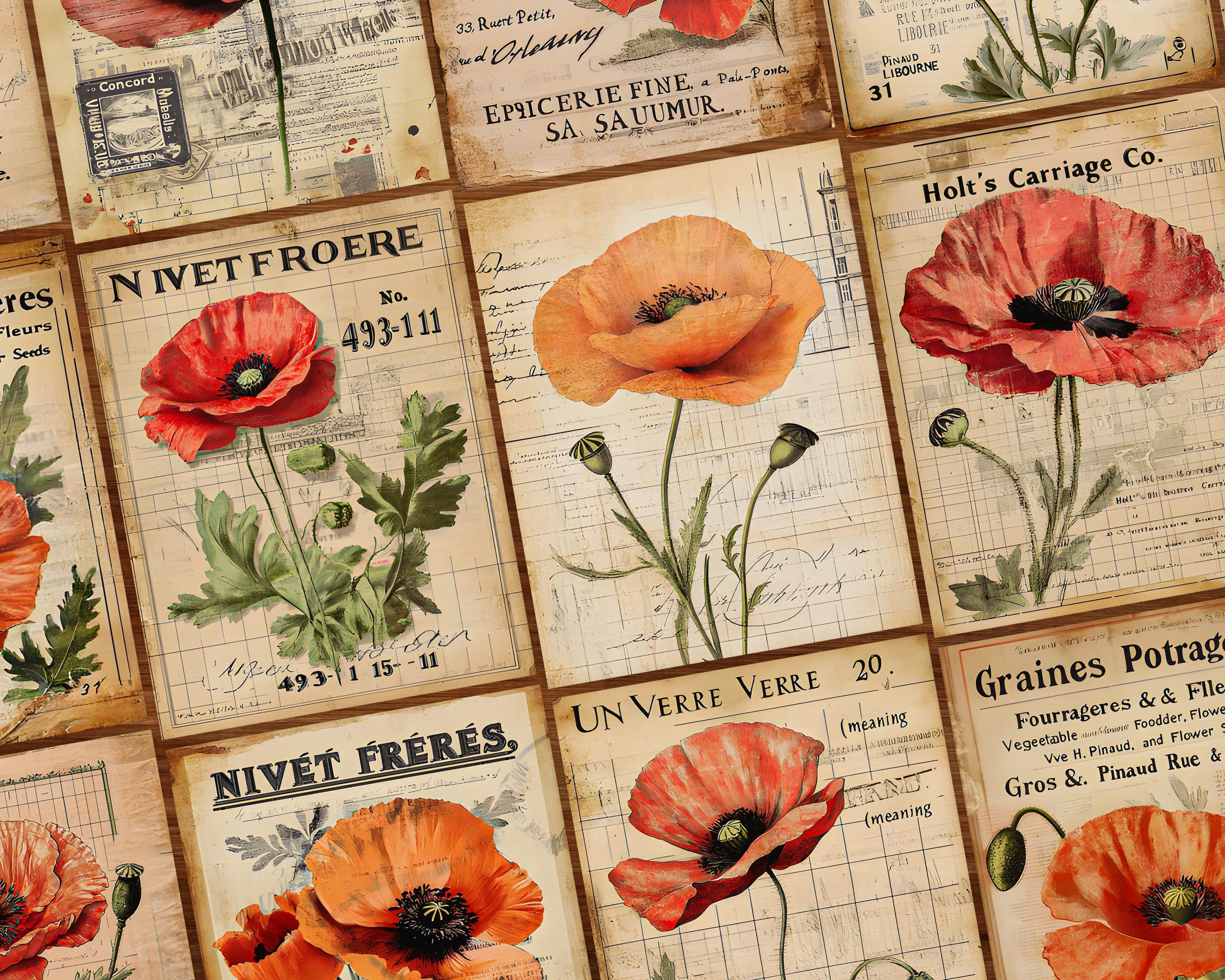 Poppy Flower Junk Journal Paper, Floral Printable Ephemera, Vintage ...