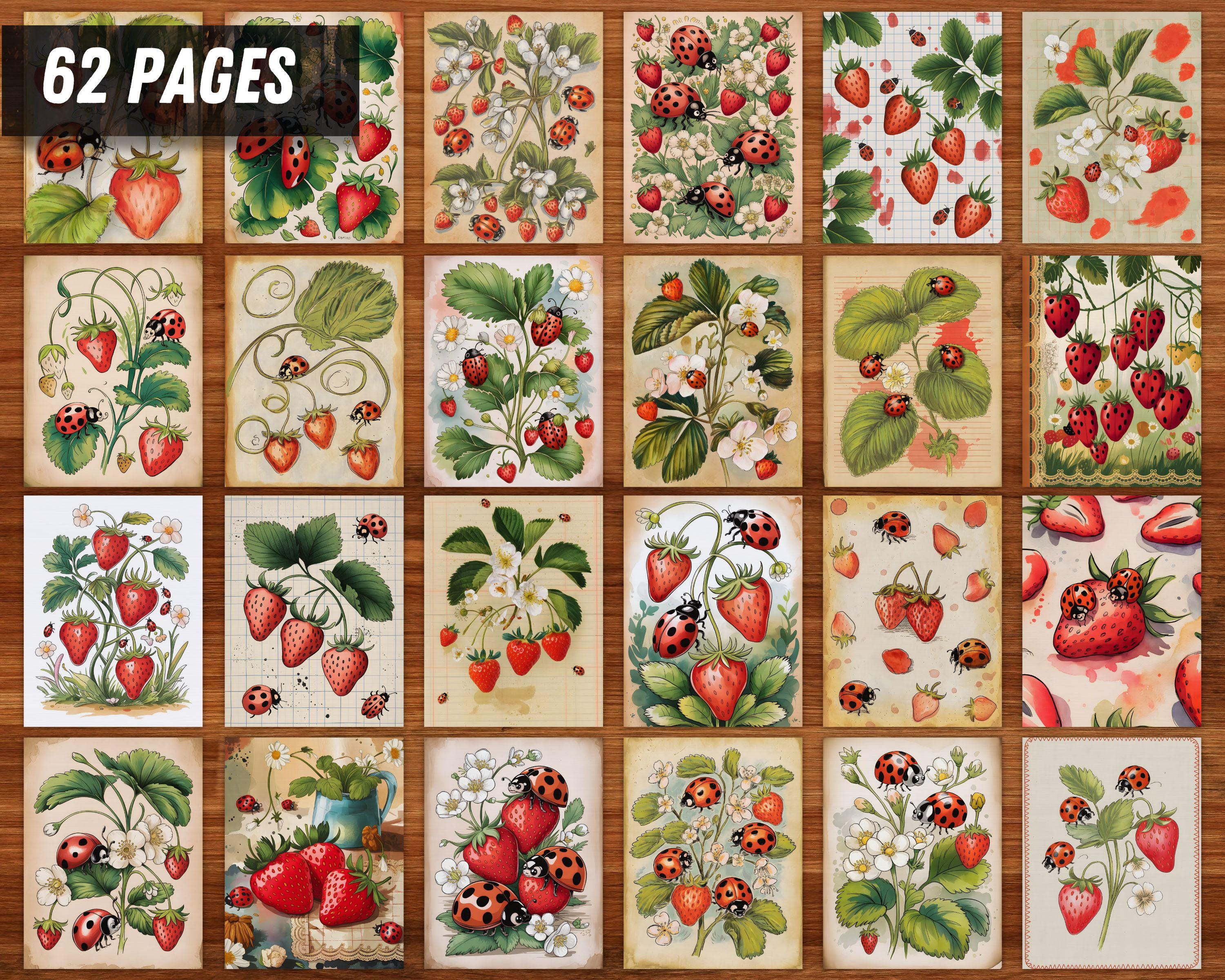 Quirky Ladybug Junk Journal Pages • Vintage 62 Printable Papers • Cute ...