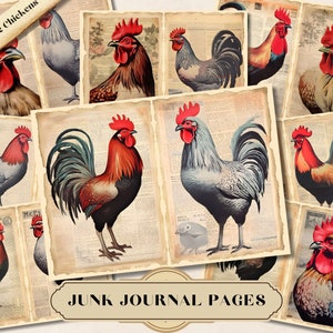 Kit de journal indésirable coqs et poulets, pages éphémères aquarelles imprimables JPG, fournitures shabby chic numériques imprimables, kit de collage album