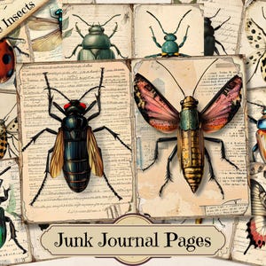 May include: A collection of vintage insect illustrations on aged paper, including a ladybug, beetles, and a moth with pink and yellow wings. The text "Vintage Insects" and "Junk Journal Pages" are visible.