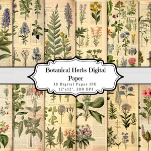 Papel de diario basura digital de hierbas botánicas, efímera imprimible de plantas florales, hoja de collage de álbum de recortes de flores, página ATC de medios mixtos de fondo