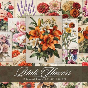 Papel de diário de pétalas de flores, itens vintage para impressão, folhas de colagem de scrapbooking com flores envelhecidas, páginas de mídia mista de fundo ATC