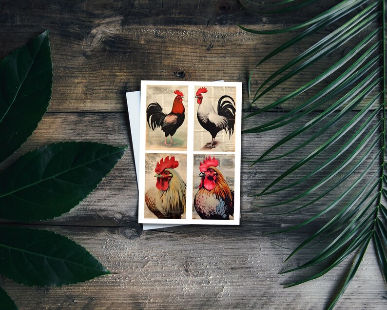Roosters &amp; Chickens Junk Journal Kit, Printable Watercolor Ephemera ...