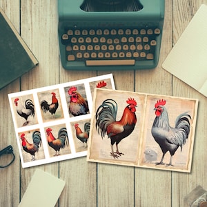 Roosters &amp; Chickens Junk Journal Kit, Printable Watercolor Ephemera ...