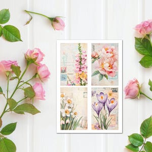 Wildflower Spring
Secret Garden Spring Journal
English Garden Spring Journal
French Garden Spring Journal
Rustic Garden Spring Journal
Bohemian Spring Garden Journal
Small Spring Garden Journal