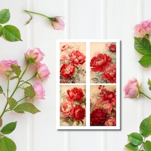 Steampunk red peonies junk journal
Red and black peonies junk journal
Red and white peonies junk journal
Red and gold peonies junk journal
Red and pink peonies junk journal
Red and green peonies junk journal
