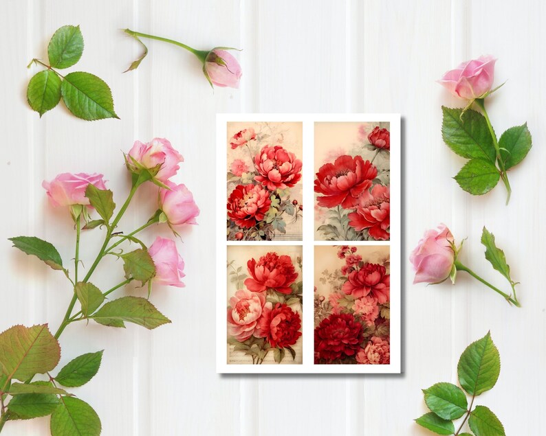 Steampunk red peonies junk journal
Red and black peonies junk journal
Red and white peonies junk journal
Red and gold peonies junk journal
Red and pink peonies junk journal
Red and green peonies junk journal