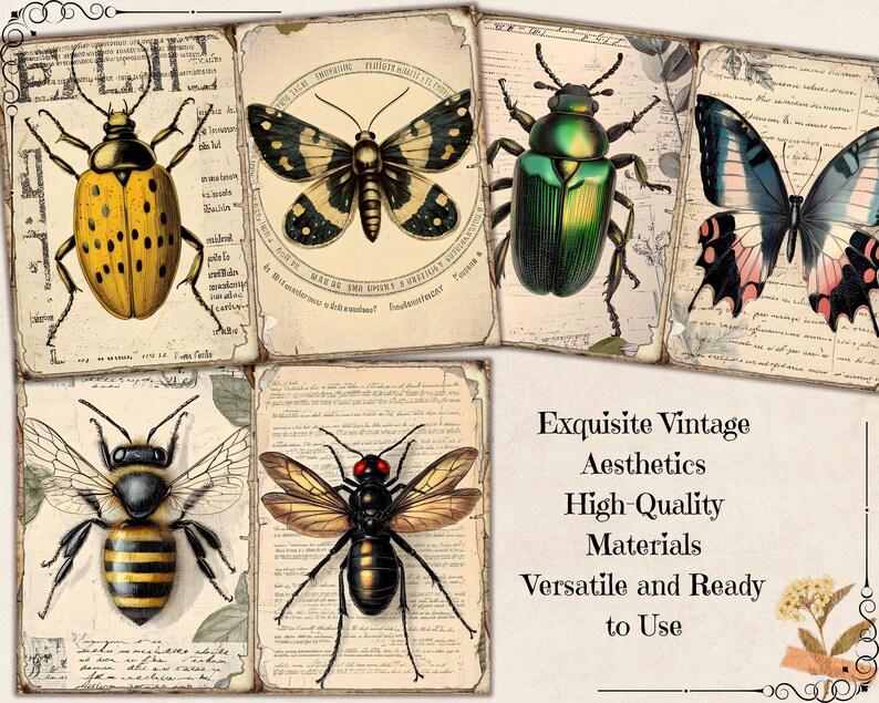 Printable Insect Journal Vintage Insects Junk Journal, Insect Bug Printable Ephemera, Vintage ...