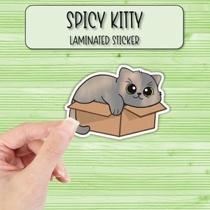 Spicy Kitty Sticker | Laminated Stickers | Cat Sticker | Kitten | Laptop Stickers | Waterbottle Stickers | Phone Case Sticker