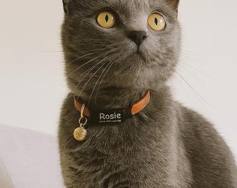 Personalized Dog Tag Silent Slide-On, Custom Cat Collar ID Tag, Engraved Pet Nameplate with Phone Number, No Noise Pet Tag, Pet ID Tag Gifts