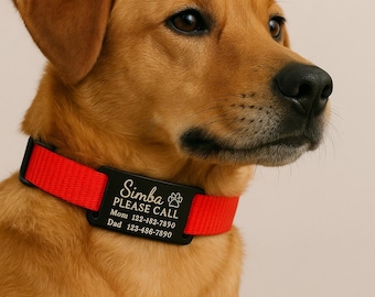 Aangepast opschuifbaar huisdier-ID-tag voor honden en katten – stil naamplaatje halsband – gepersonaliseerd, geluidloos hondenlabel – gegraveerd kat-ID-plaatje – huisdier-halsbandlabel