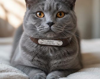 Cat Collar, Pet Tag With Collar, Dog Collar, Custom Engraved Leather Dog Collar Name Phone Number Tag, Personalized ID Pet, Christmas Gifts
