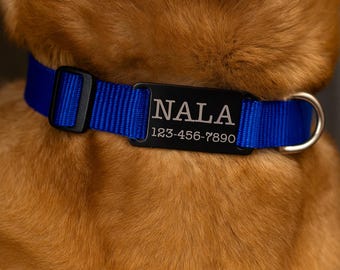 Opschuifbare kraag huisdier-ID-tag, stil opschuifbaar label, gepersonaliseerd huisdier-ID-tag, opschuifbaar honden-ID-tag, aangepast kattenlabel, gepersonaliseerd gegraveerd huisdierlabel