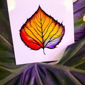 Regenboogberkenblad