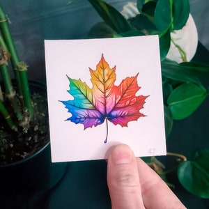 Sticker regenboog esdoornblad
