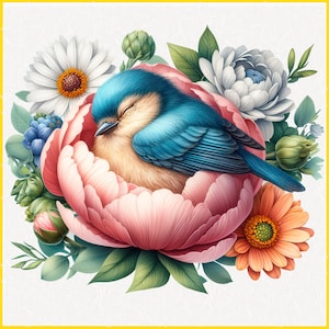 Clipart de pássaros sonolentos fofos, coleção de ilustrações 3D para decoração de primavera, arte de berçário, projetos digitais. Pássaros, Xícara de chá, Flor, Chapéus, 24 itens