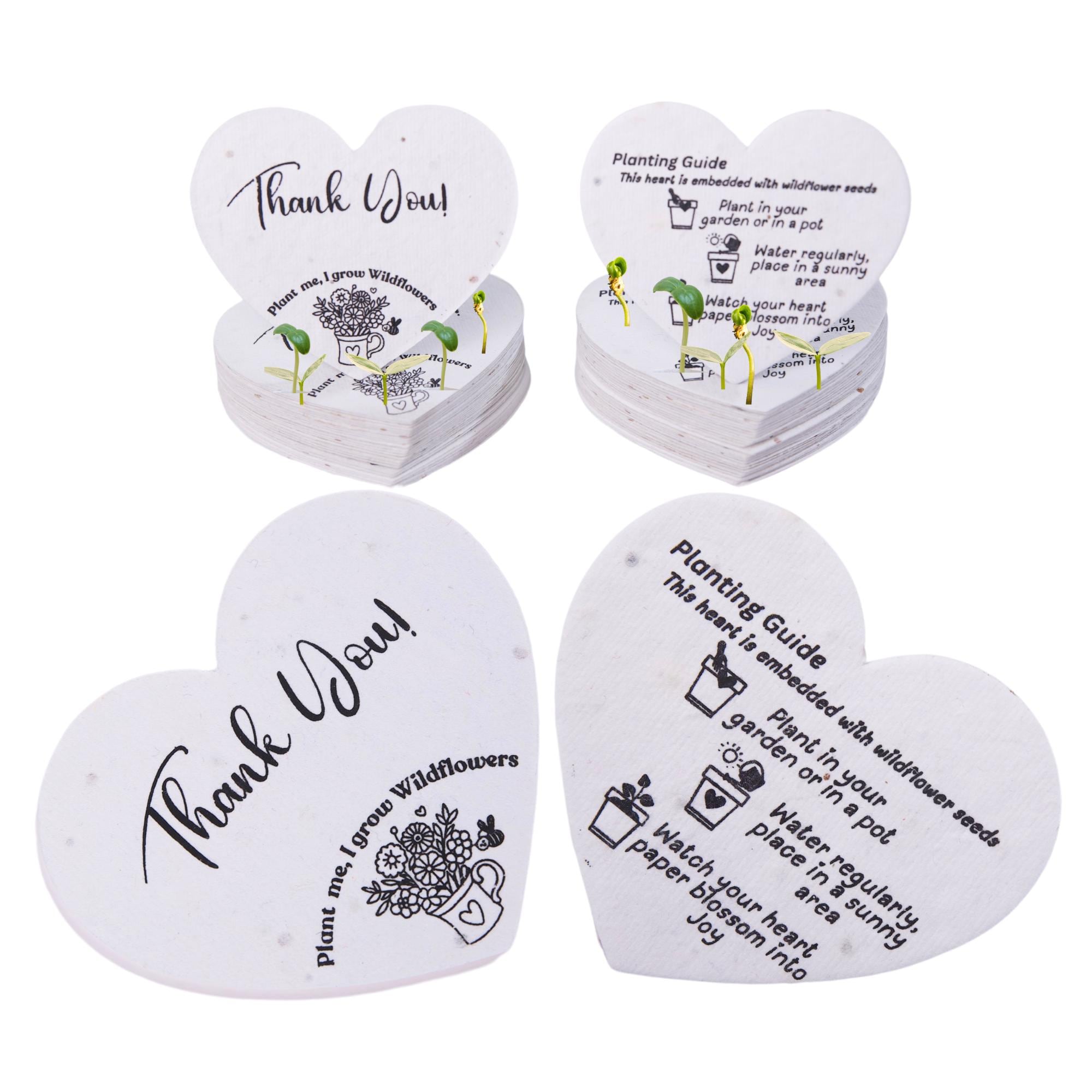 Plantable Seed Paper Thank You Cards