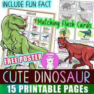 28 dinosaurusflashcards en informatiebladen, prehistorische fotokaarten, afdrukbaar montessorimateriaal, homeschool voorschoolse peuterflashkaarten