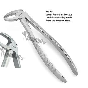 DENTAL TOOTH EXTRACTION Forceps 13, for Lower Premolars, English Pattern , Dental Extraction Forceps 13  Zamaha Ce