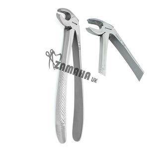 Hawks Bill Tooth Extracting forceps 22 Dental Lower Molar Extraction Forceps ZAMAHA UK