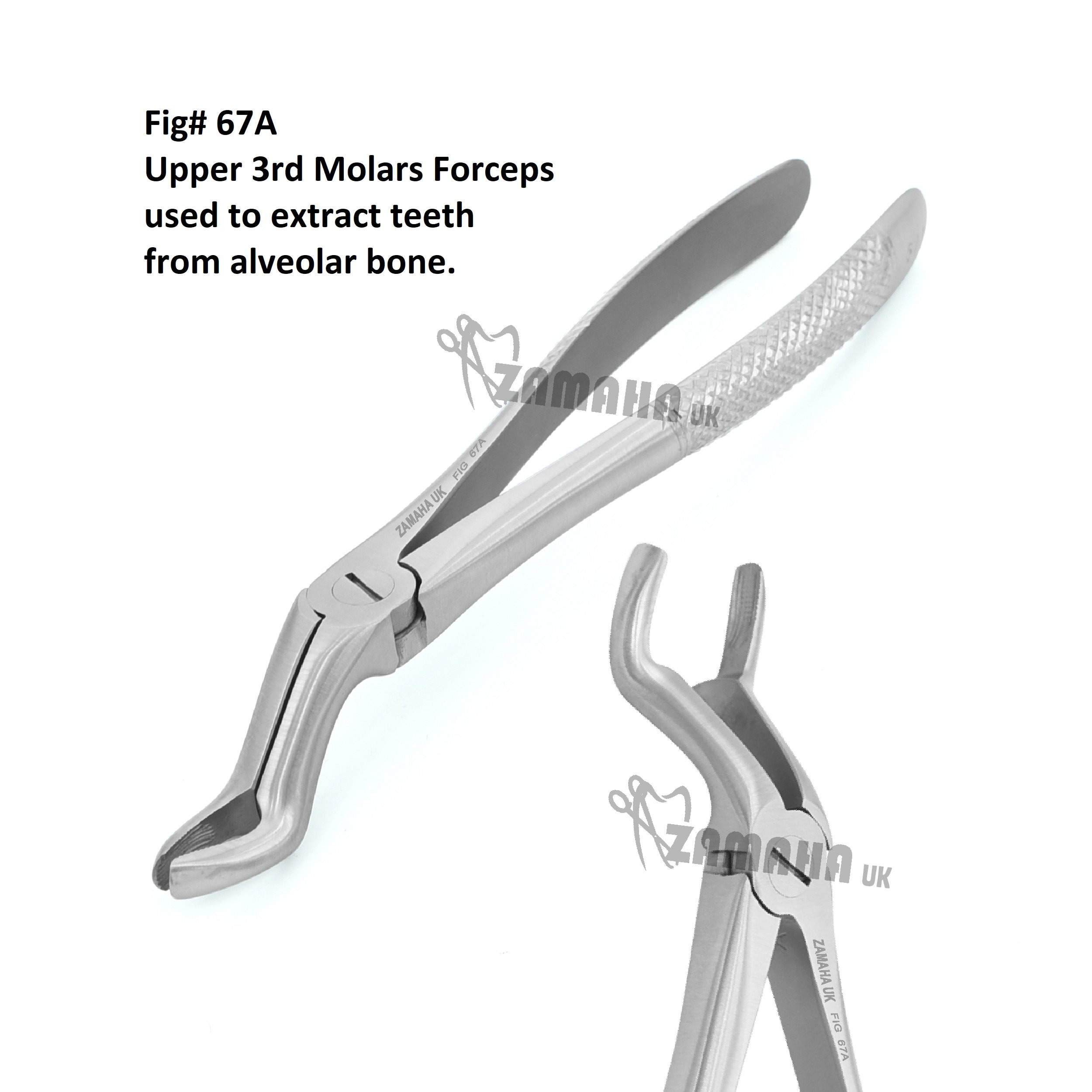 ZAMAHA Tooth Extracting Forceps 67A, Dental Extraction Kits, Dental Pliers for Extraction, Dental extracting Tools