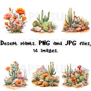 Plantas del desierto en estilo acuarela. Los archivos PNG y JPG se pueden utilizar en trabajos personales y comerciales.